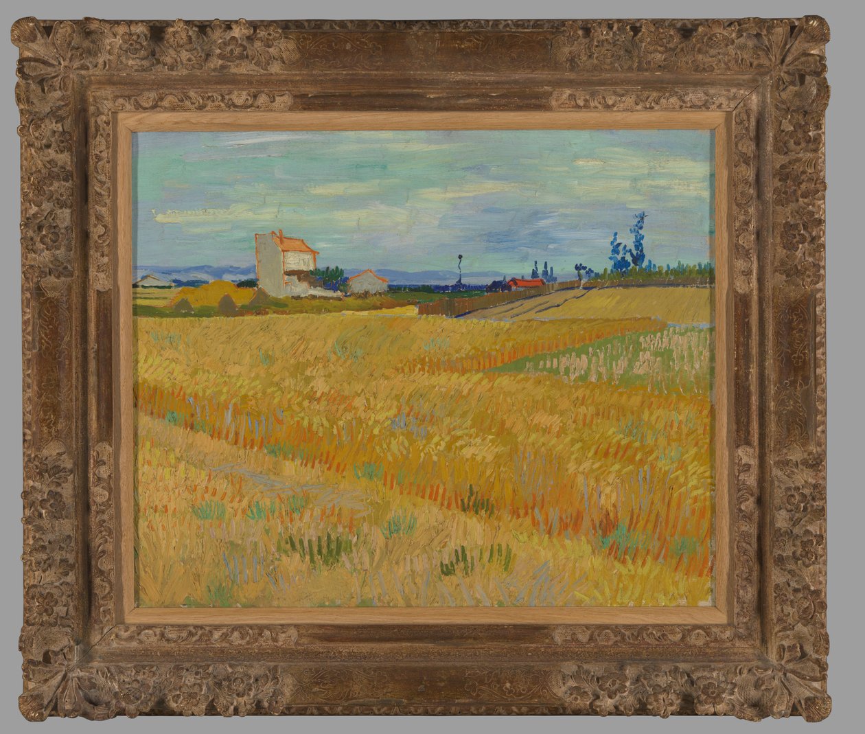 Campo di grano da Vincent van Gogh