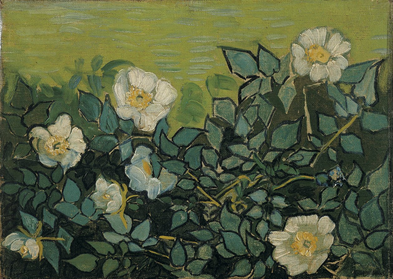 Rose selvatiche da Vincent van Gogh