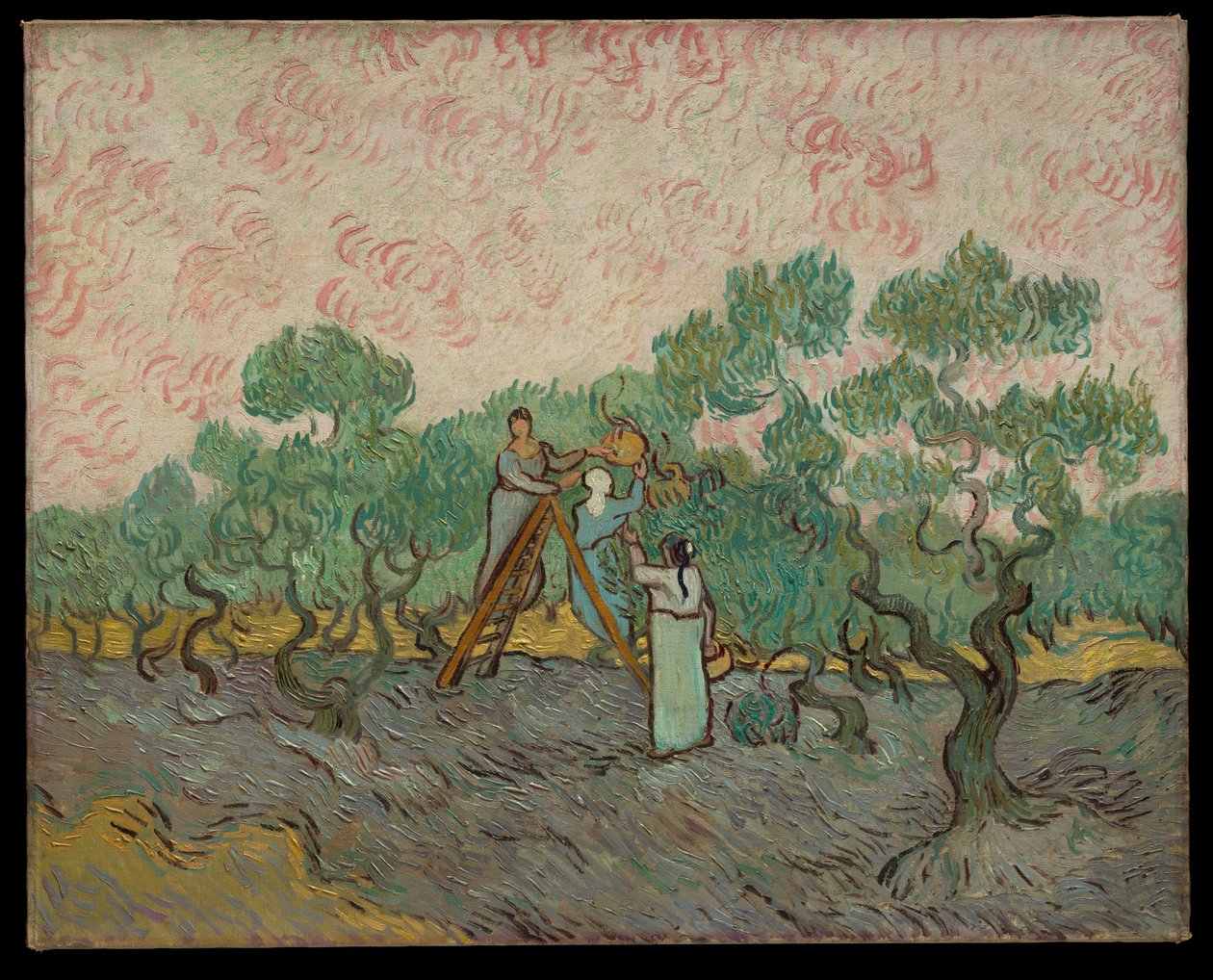 Donne che raccolgono le olive da Vincent van Gogh