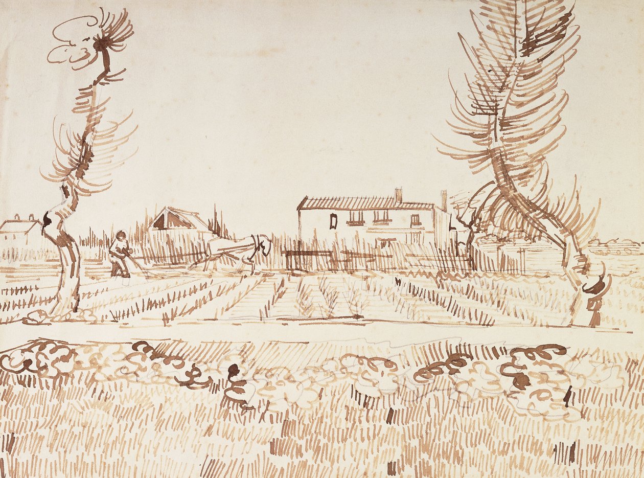 Lavorare nei campi ad Arles, 1888 da Vincent van Gogh