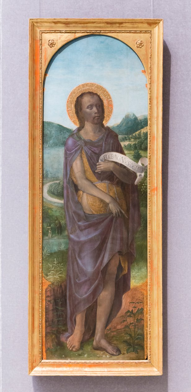 San Giovanni Battista da Vincenzo Foppa
