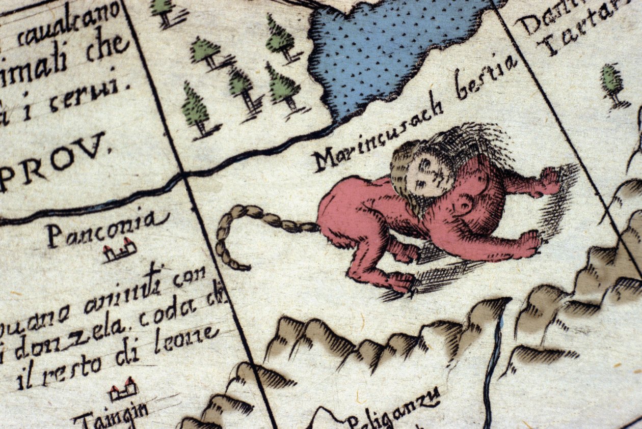 Rappresentazione di una manticora, una creatura fantastica con testa umana (spesso con corna, occhi blu e tre file di denti), coda di scorpione o drago e corpo di leone. (dettaglio) di una mappa del mondo di Vincenzo Coronelli (1650-1718). XVII secolo da Vincenzo Maria Coronelli