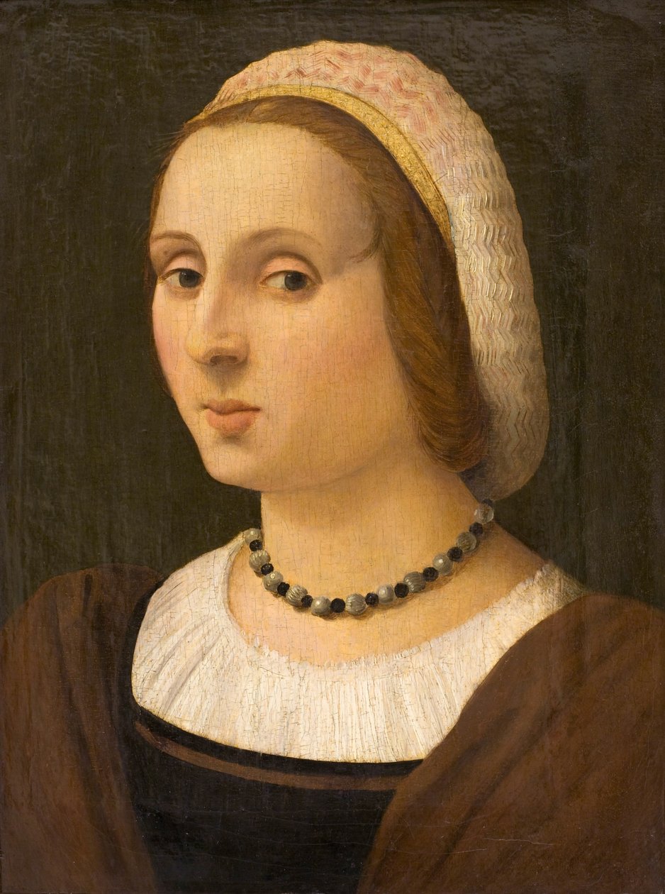 Ritratto di una signora da Vincenzo Tamagni