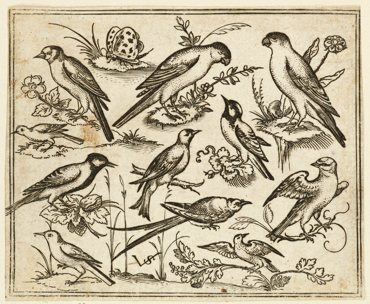 Undici uccelli seduti su macchie di fogliame fiorito e piccoli rami..., 1557 da Virgil Solis