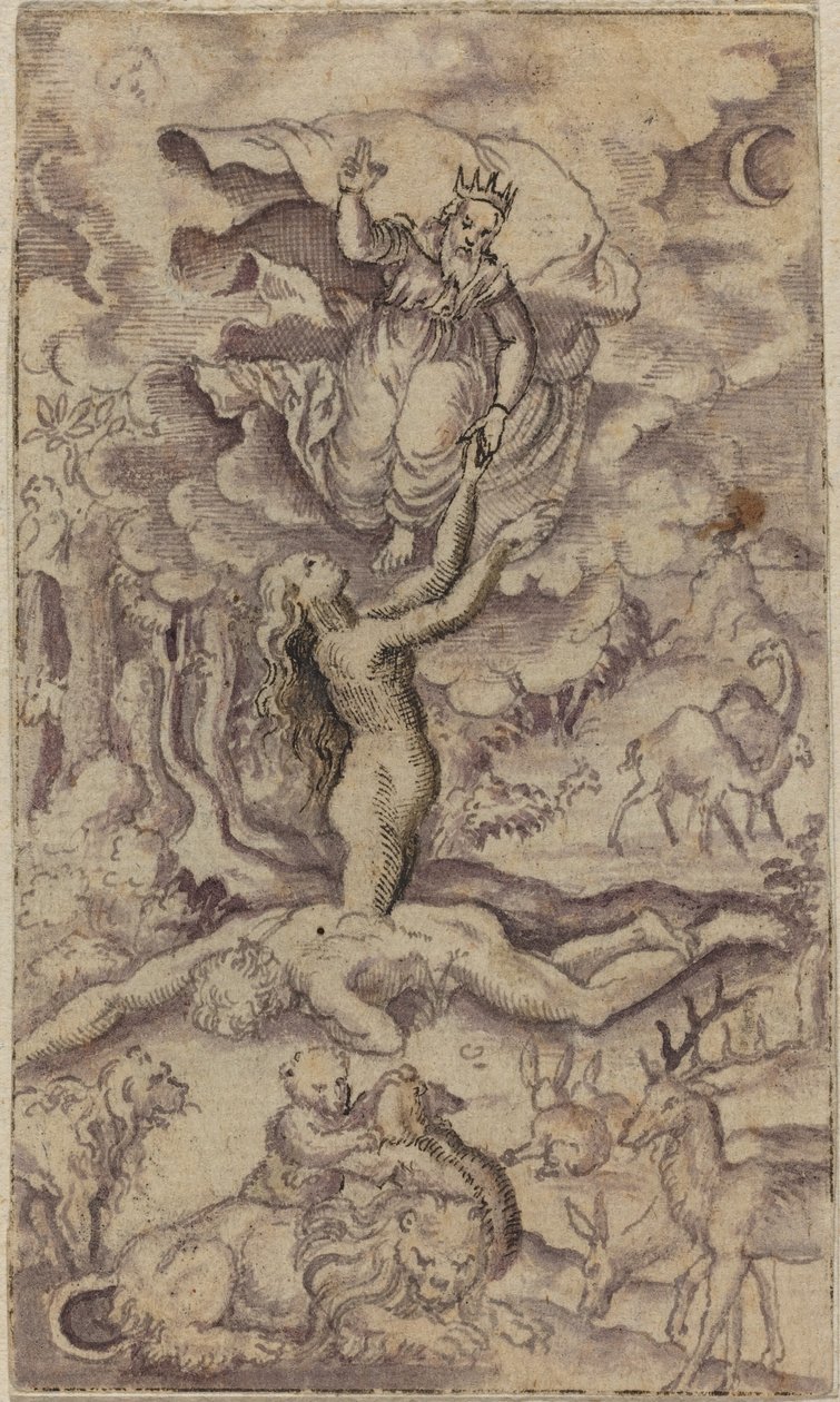La creazione di Eva da Virgil Solis