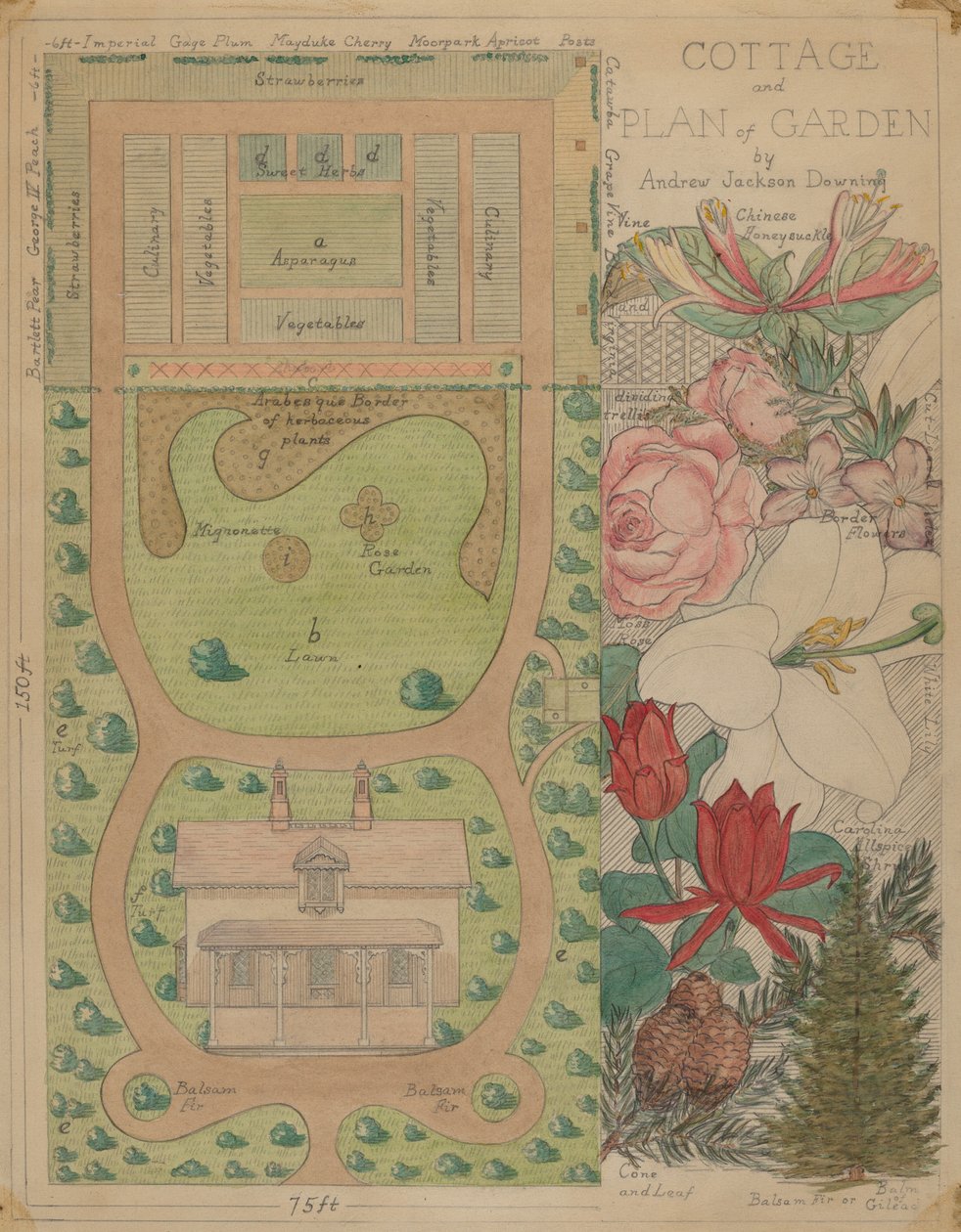 Piano terra per cottage, c. 1936 da Virginia Richards