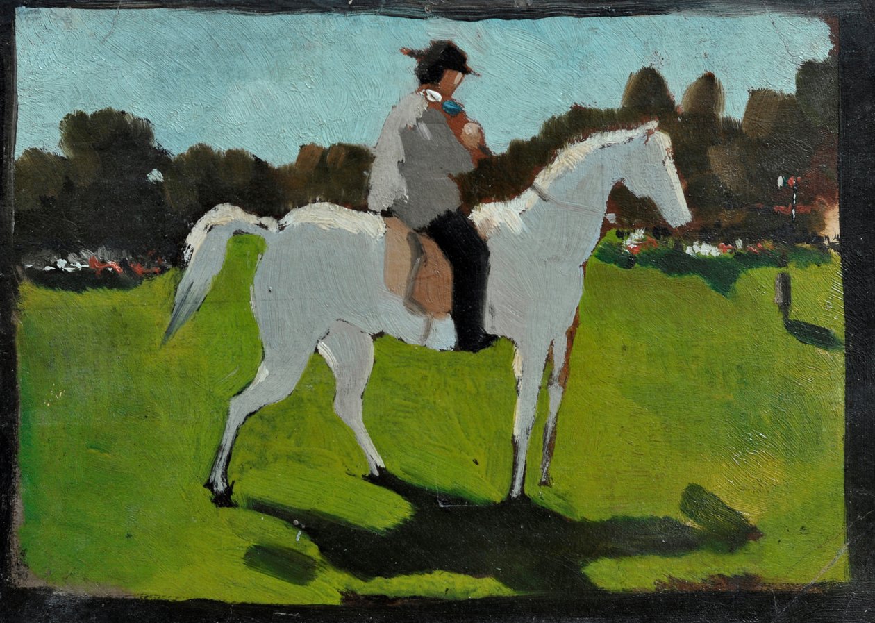 Cavallo bianco con fantino da Vito d