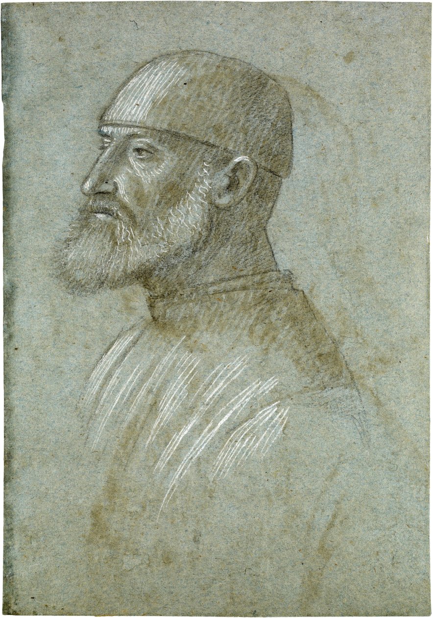 Testa di uomo barbuto con un berretto, di profilo verso sinistra da Vittore Carpaccio
