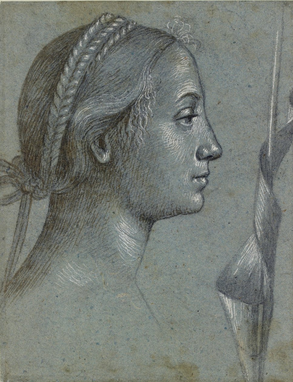 Testa di Donna con un Pennone avvolto attorno a un Palo, fine 15° secolo da Vittore Carpaccio