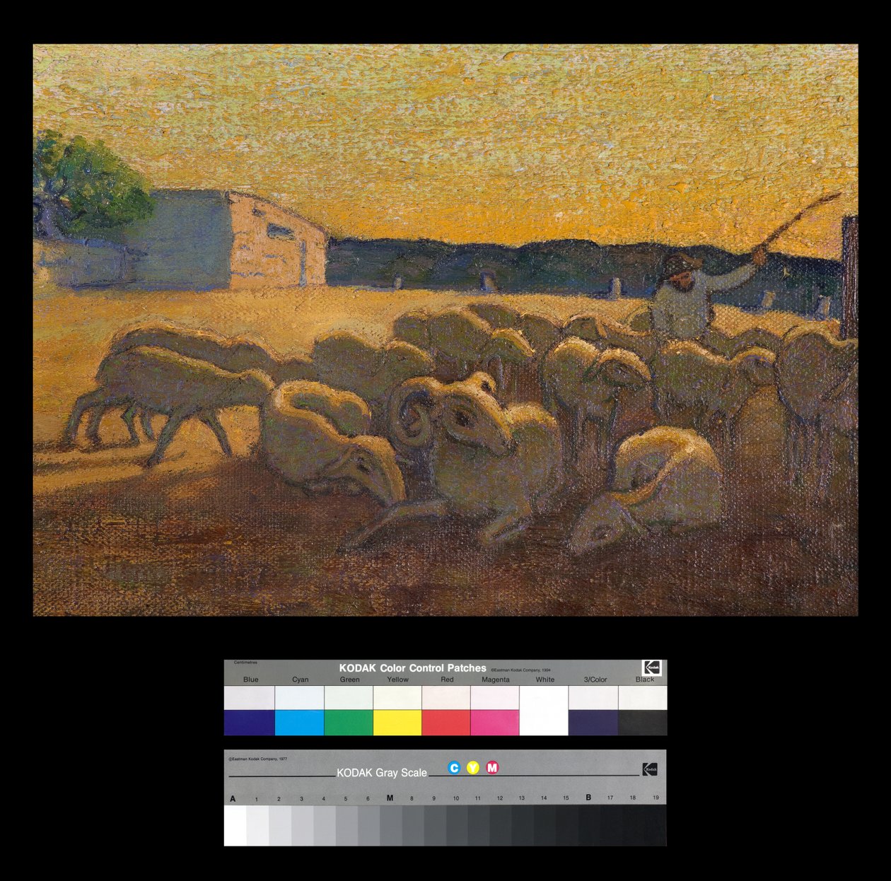 Tramonto con pecore da Vittorio Bolaffio