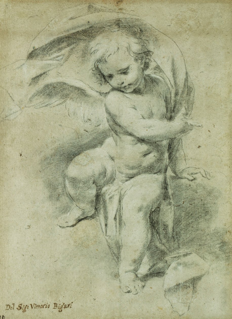 Un angelo da Vittorio Maria Bigari