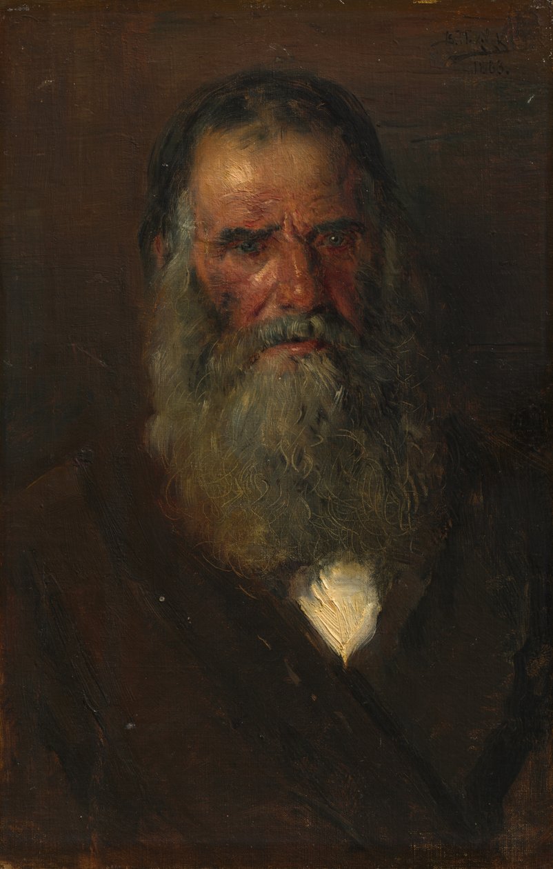 Studio della testa di un vecchio, 1883 da Vladimir Egorovic Makovskij