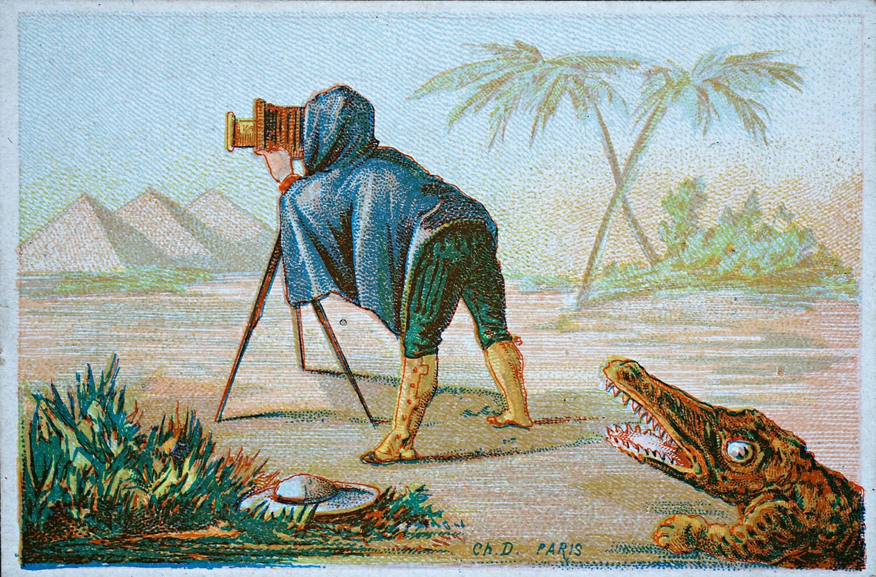 Carte de visite da W. J. and Son Welstead