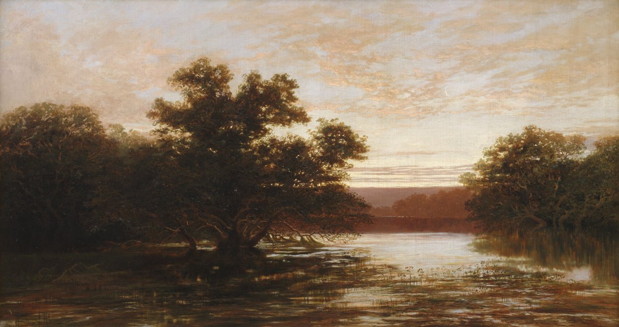 Una mangrovia australiana, bassa marea da W.C. Piguenit