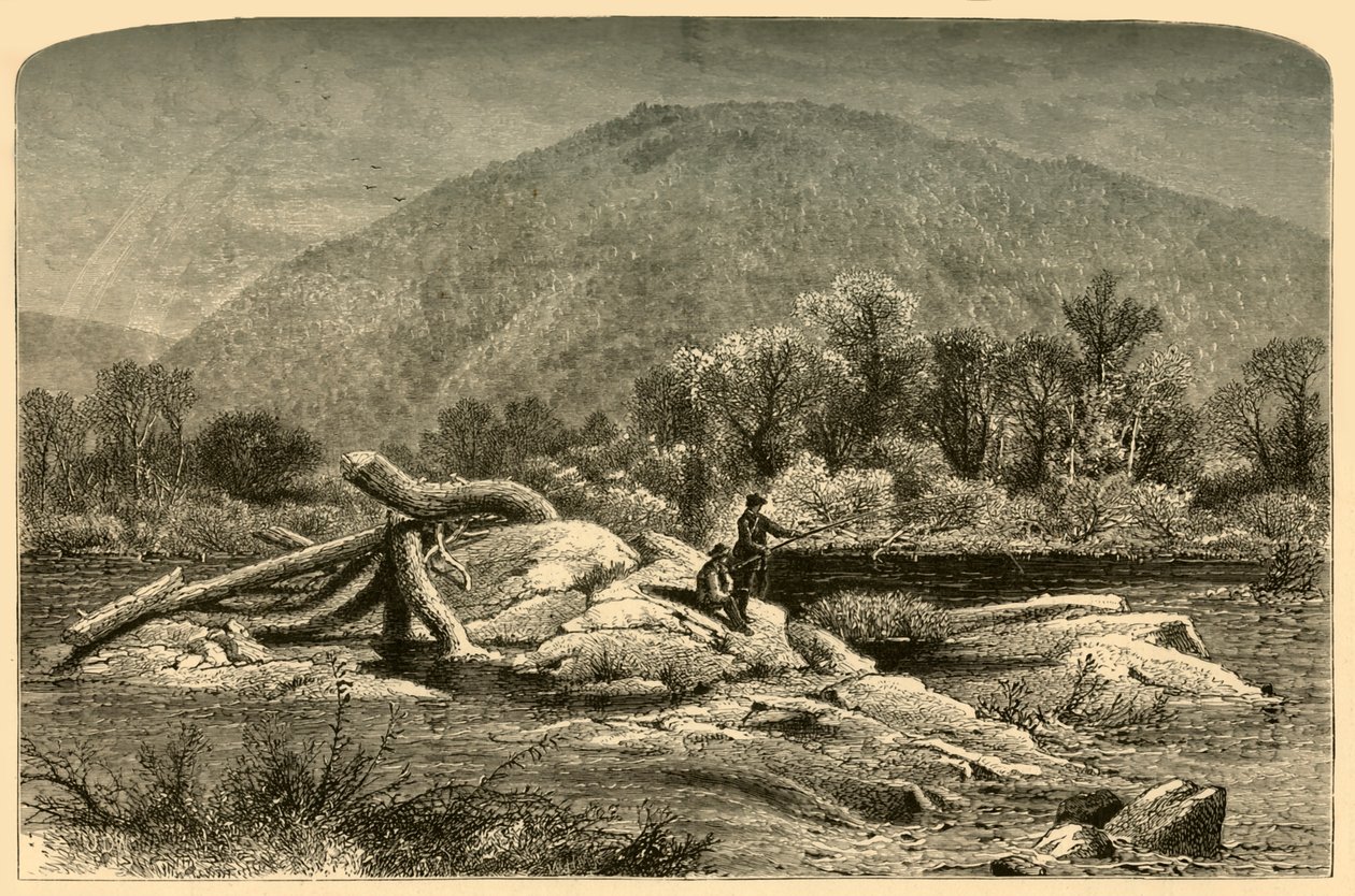 Monte Chesterfield, 1874 da W.H. Morse