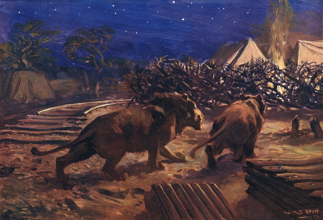 Il nemico del ferroviere da W.R.S. Stott