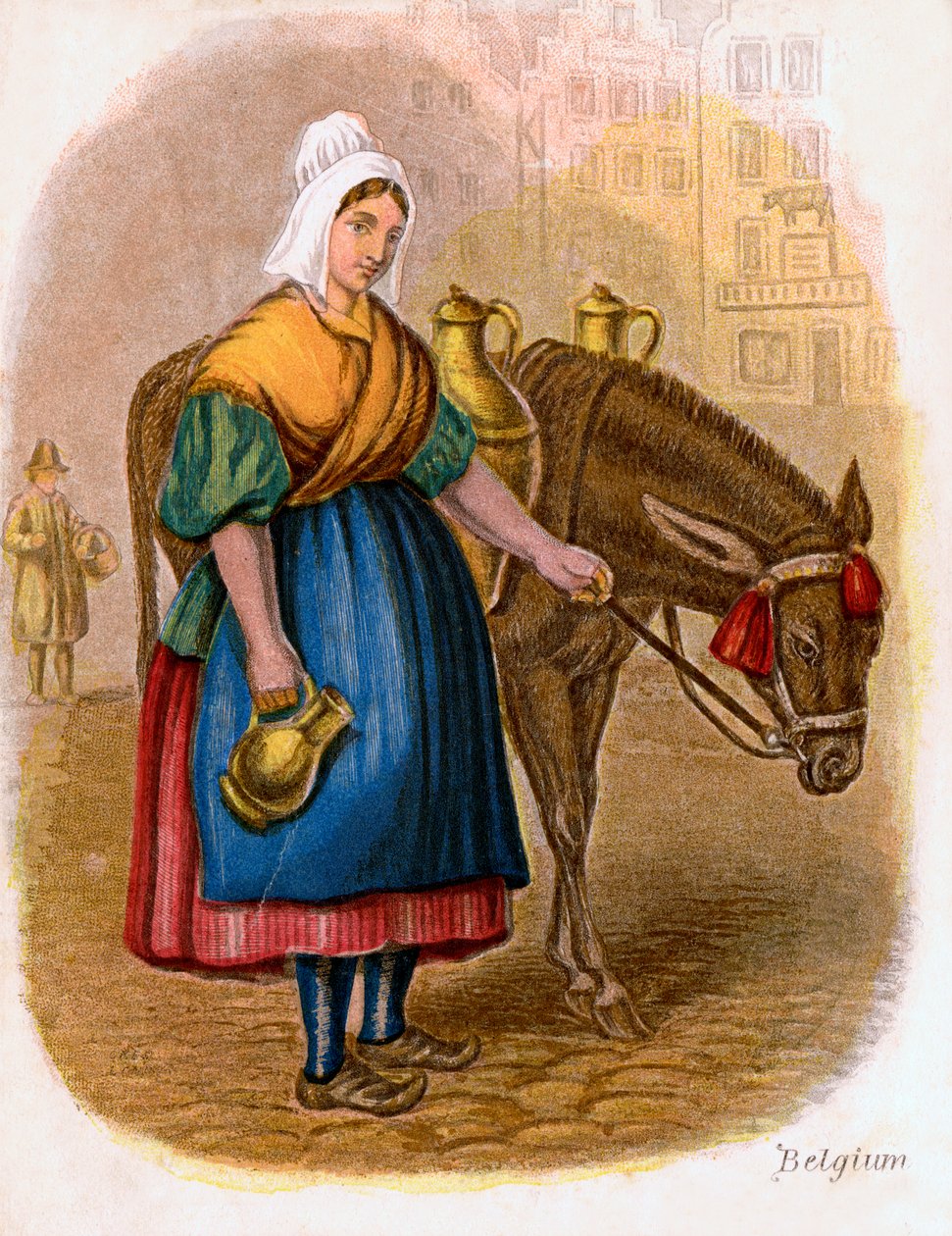 Lattaia belga, 1809 da W. Dickes