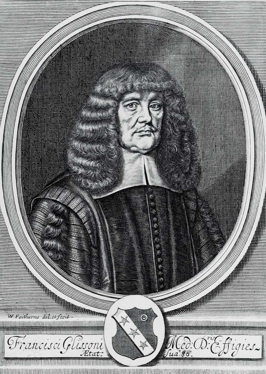 Ritratto di Francis Glisson (1597-1677), fisico, anatomista e medico britannico, incisione da John Ward Dunsmore