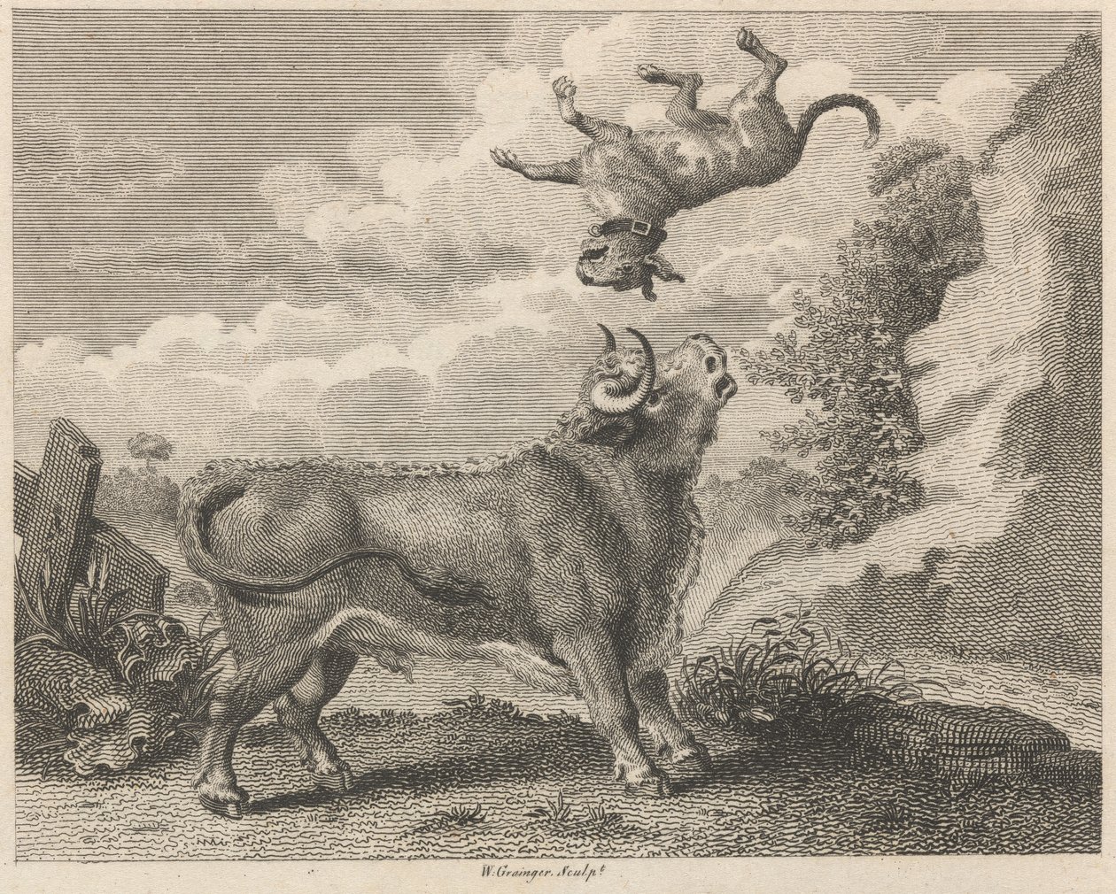 Il Toro e il Mastino da W. Grainger