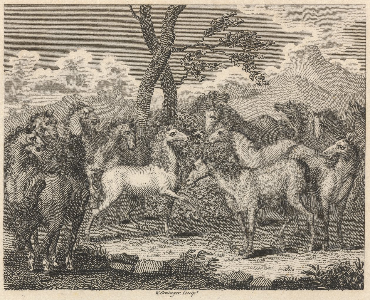 Il consiglio dei cavalli da W. Grainger