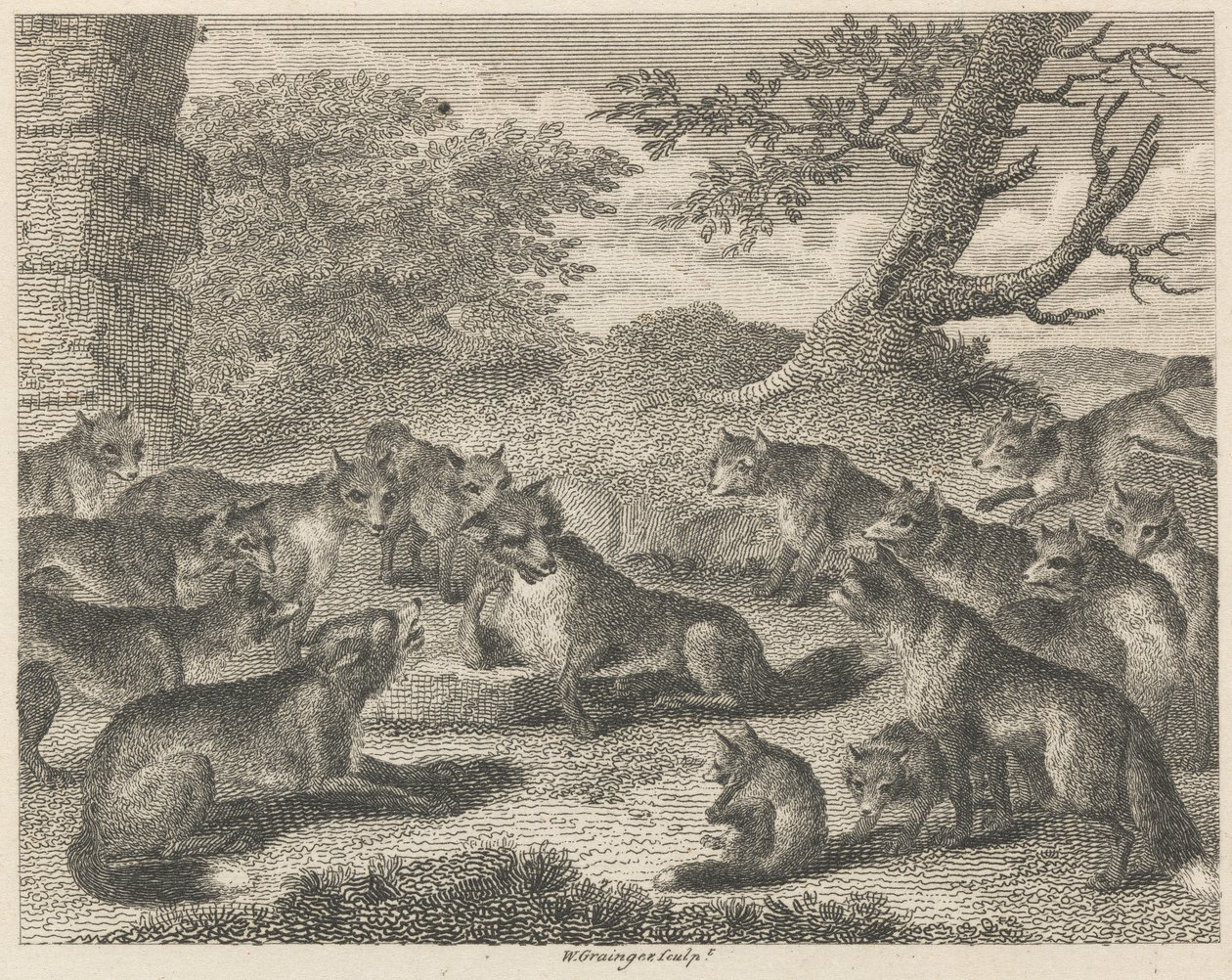 La volpe al punto di morte da W. Grainger