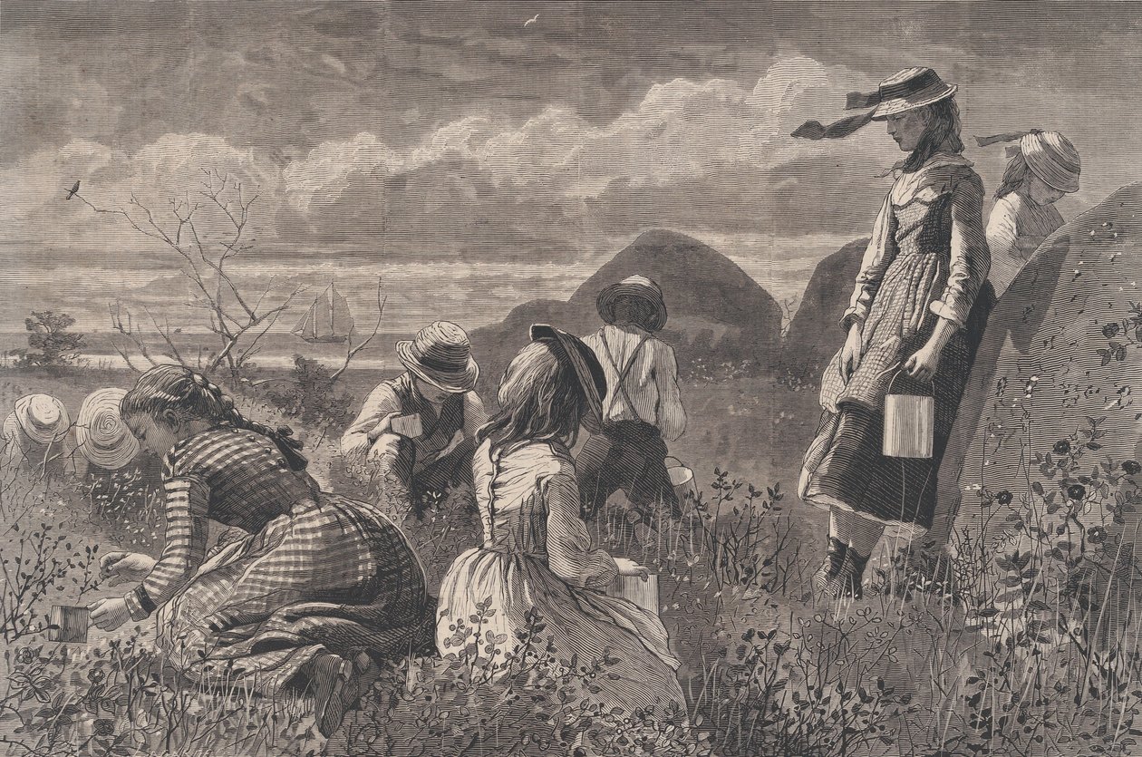 Raccolta di bacche, Harper