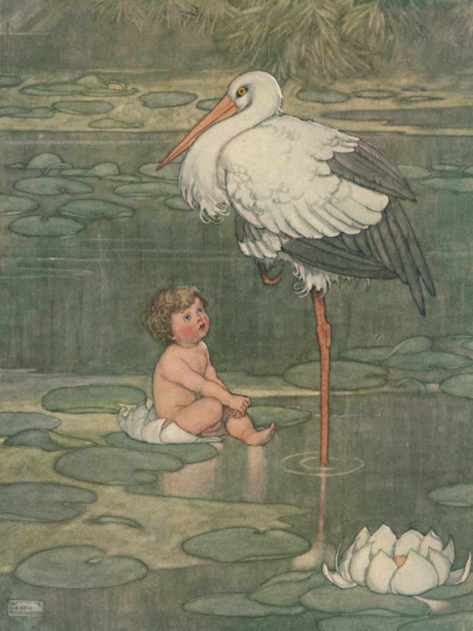 Il bocciolo si è aperto in un fiore pienamente sbocciato da William Heath Robinson