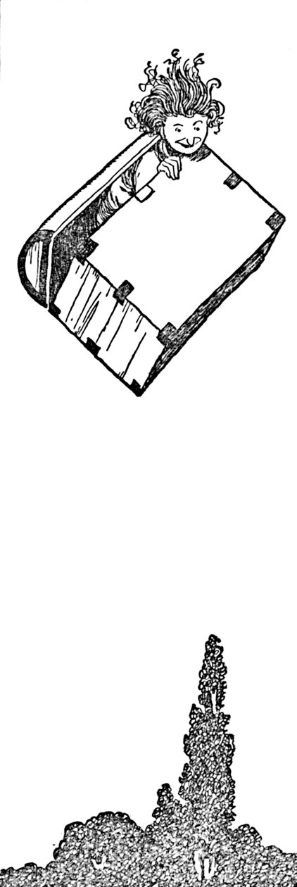 Su volò il baule da William Heath Robinson