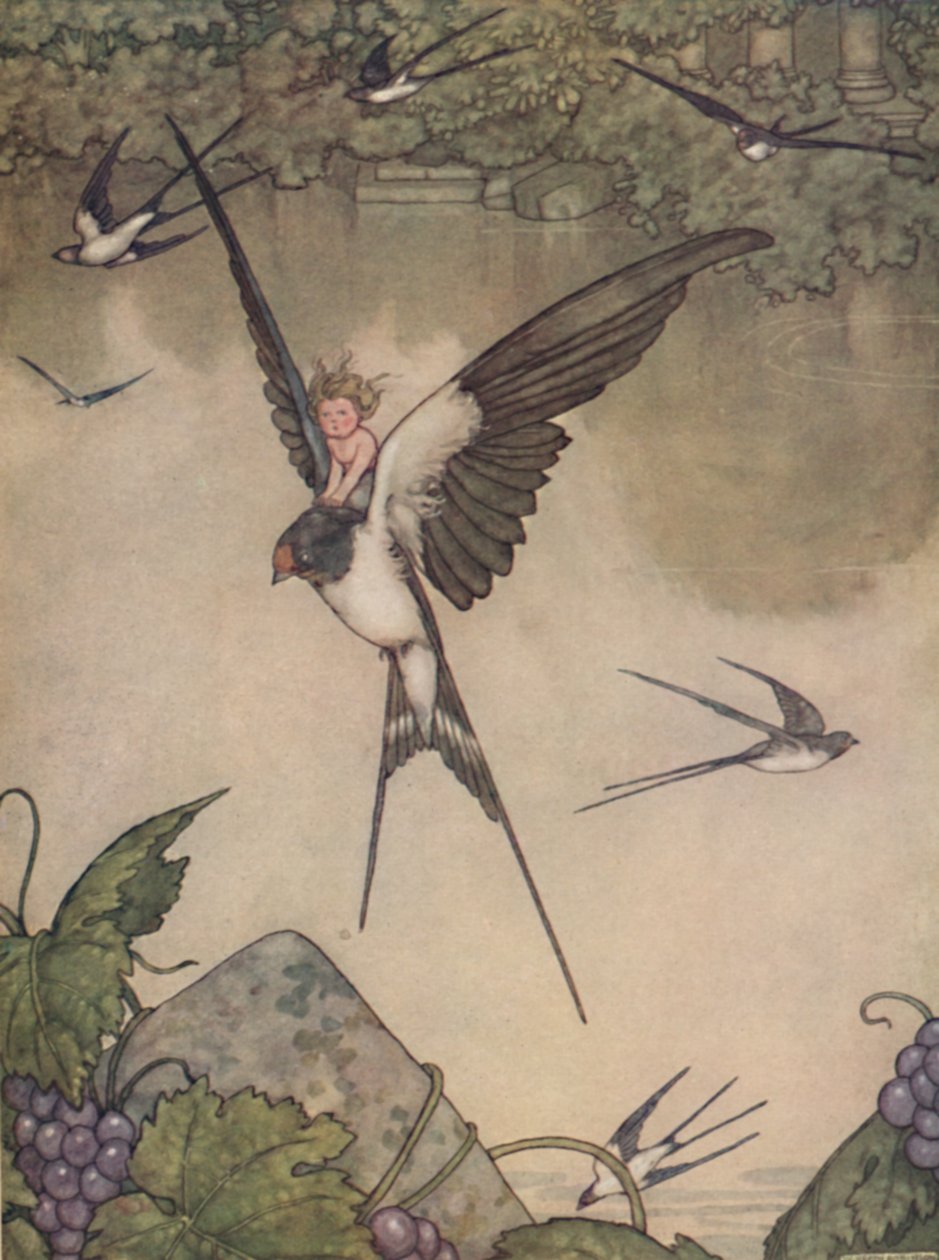 Sì, verrò con te! disse Tommelise, c1930 da William Heath Robinson
