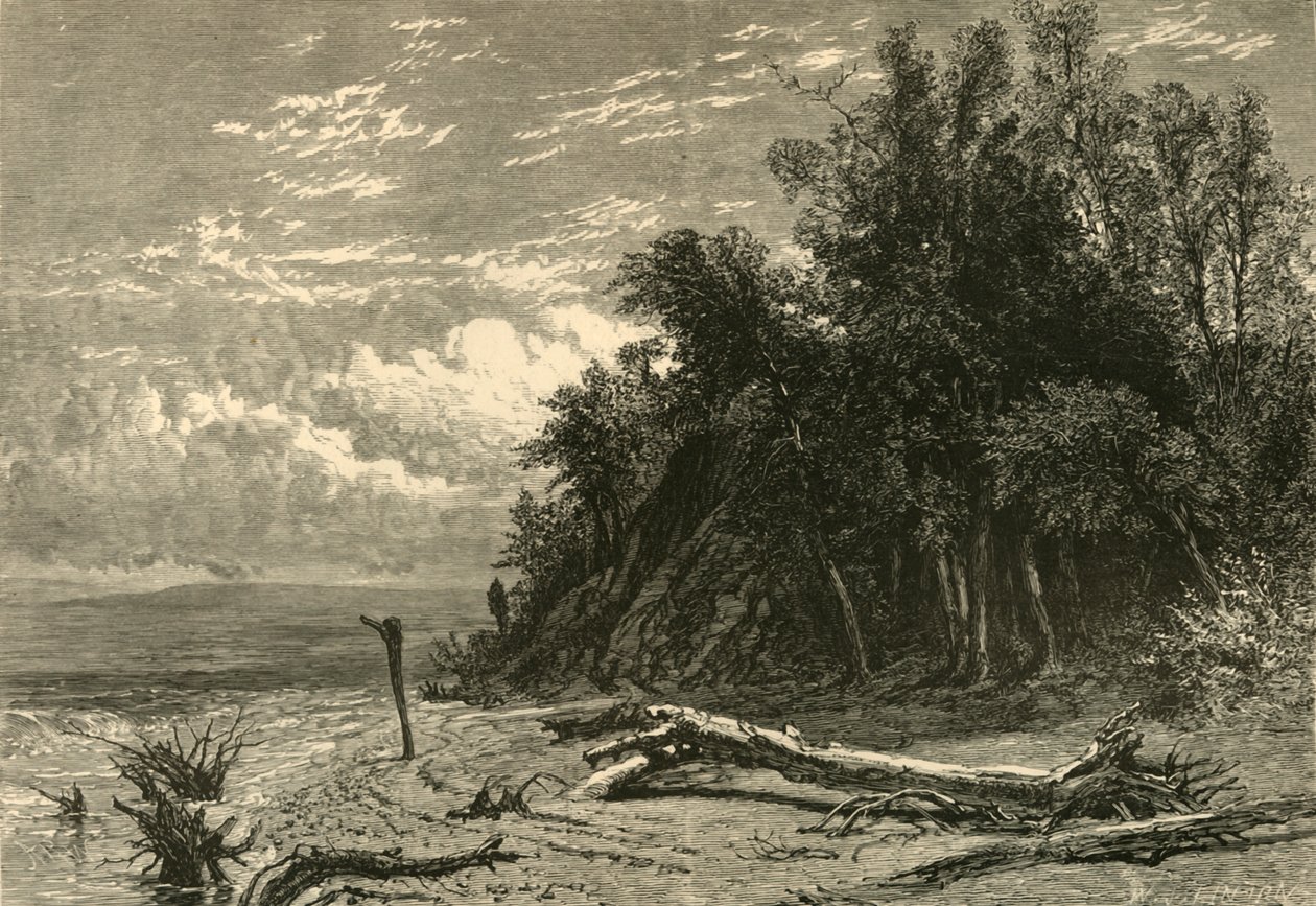 La riva a Lake Forest da W. J. Linton