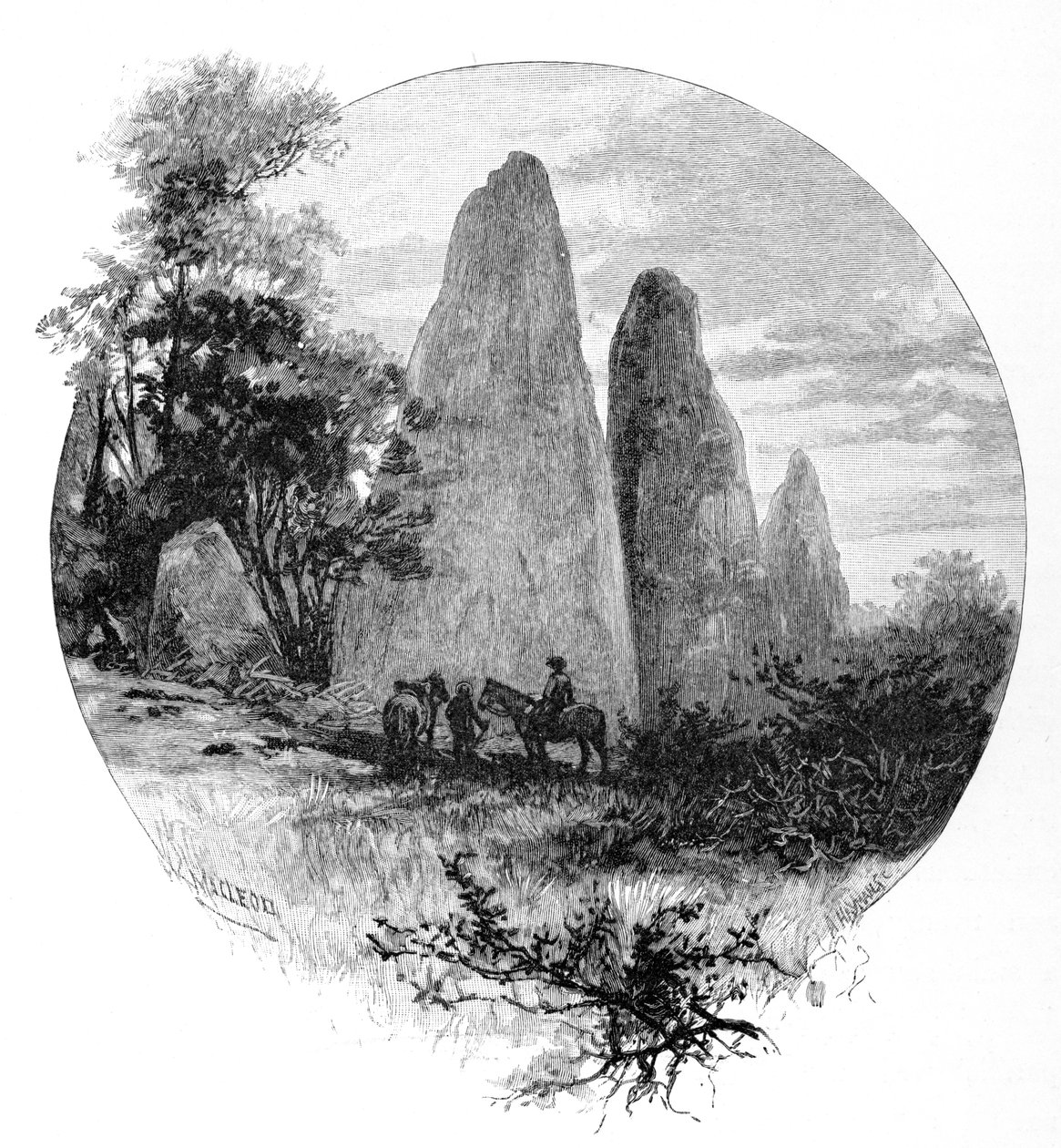 Rocce di granito, Betts camp, Monte Kosciuszko, Nuovo Galles del Sud, Australia da W. Macleod