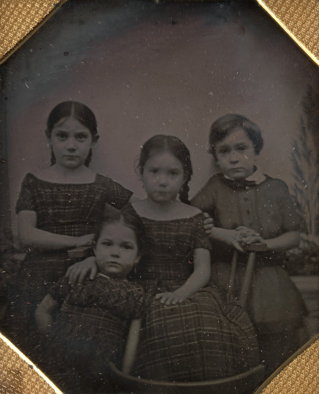I figli del Professor Schneider da William and Frederick Langenheim