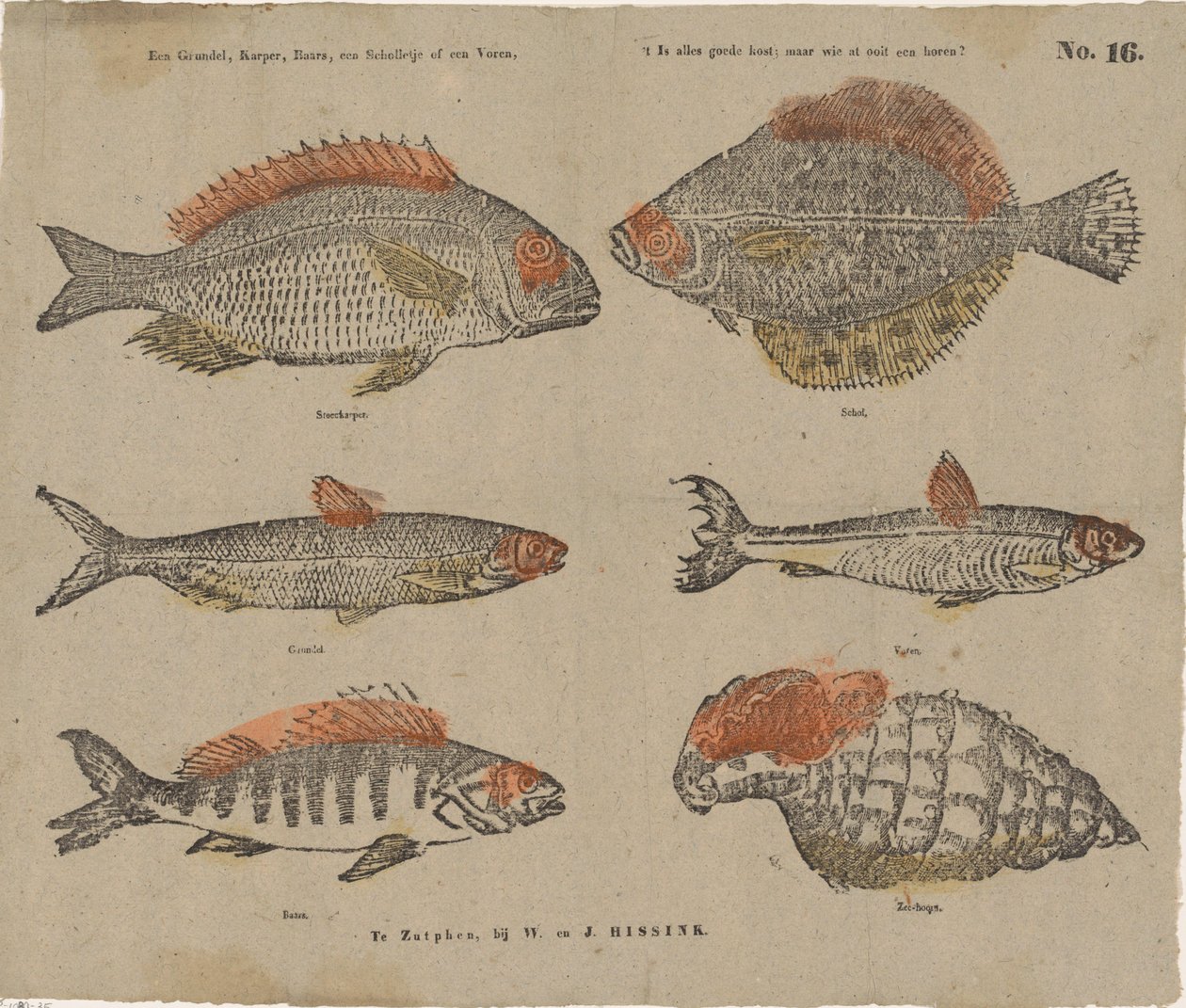 Un ghiozzo, una carpa, un persico, una sogliola o un pesce, è come buon cibo, ma chi ha mai mangiato un corno? da W. and J. Hissink