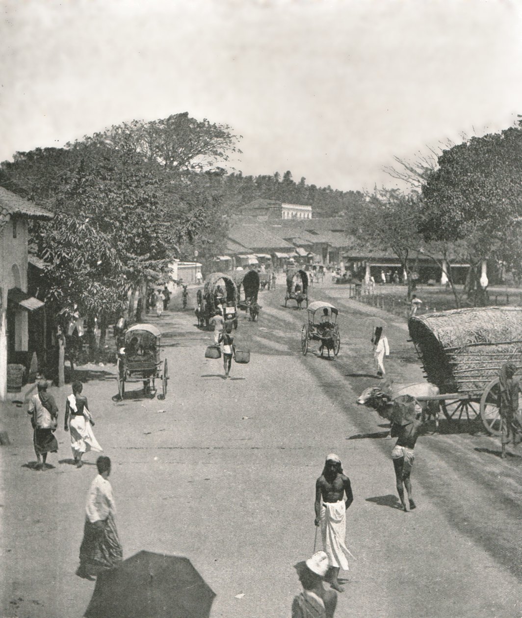 Scena di strada vicino al Municipio, Colombo, Ceylon, 1895 da W and S Ltd
