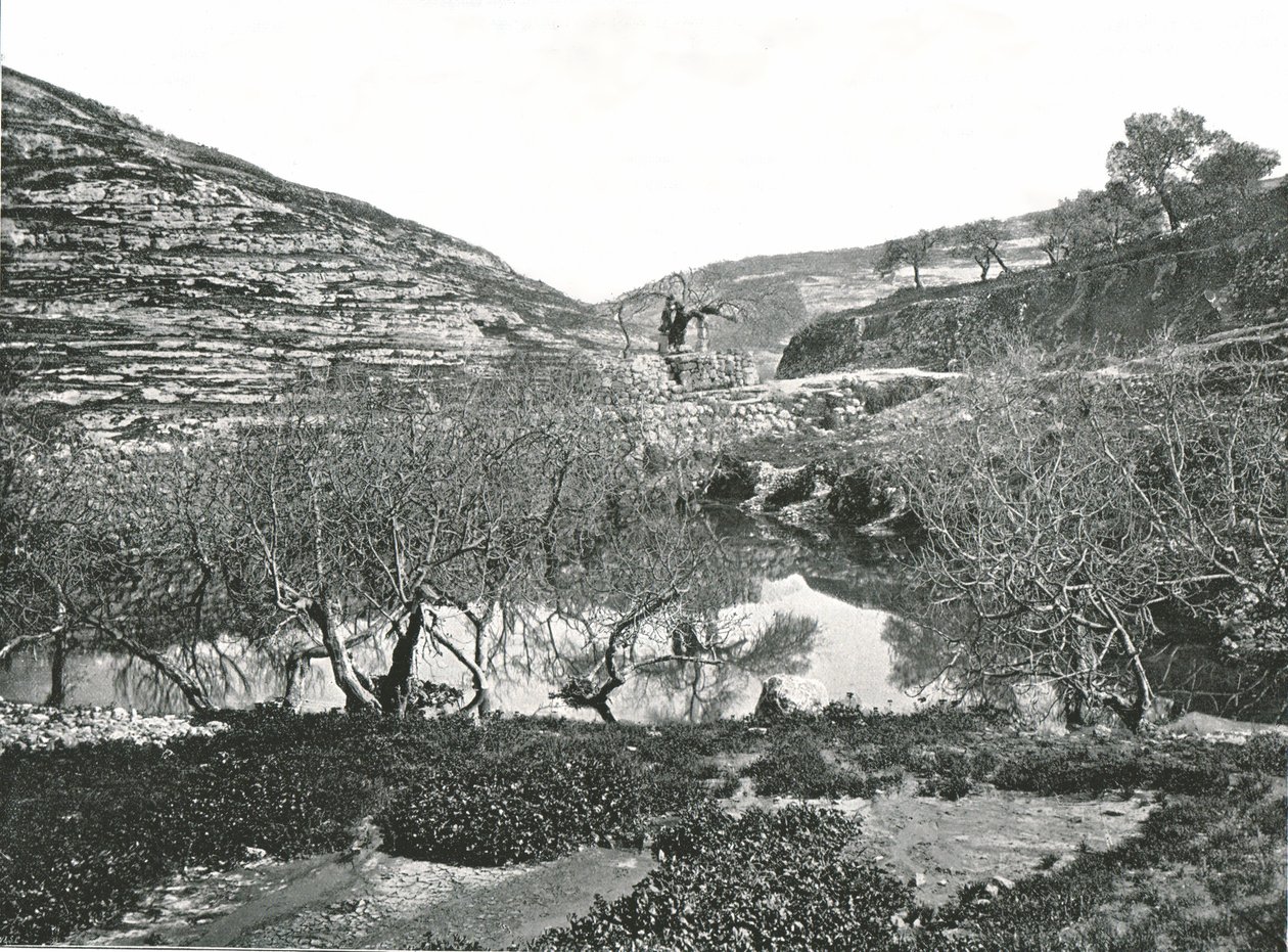 La Piscina di Siloam, Gerusalemme, Palestina, 1895 da W and S Ltd