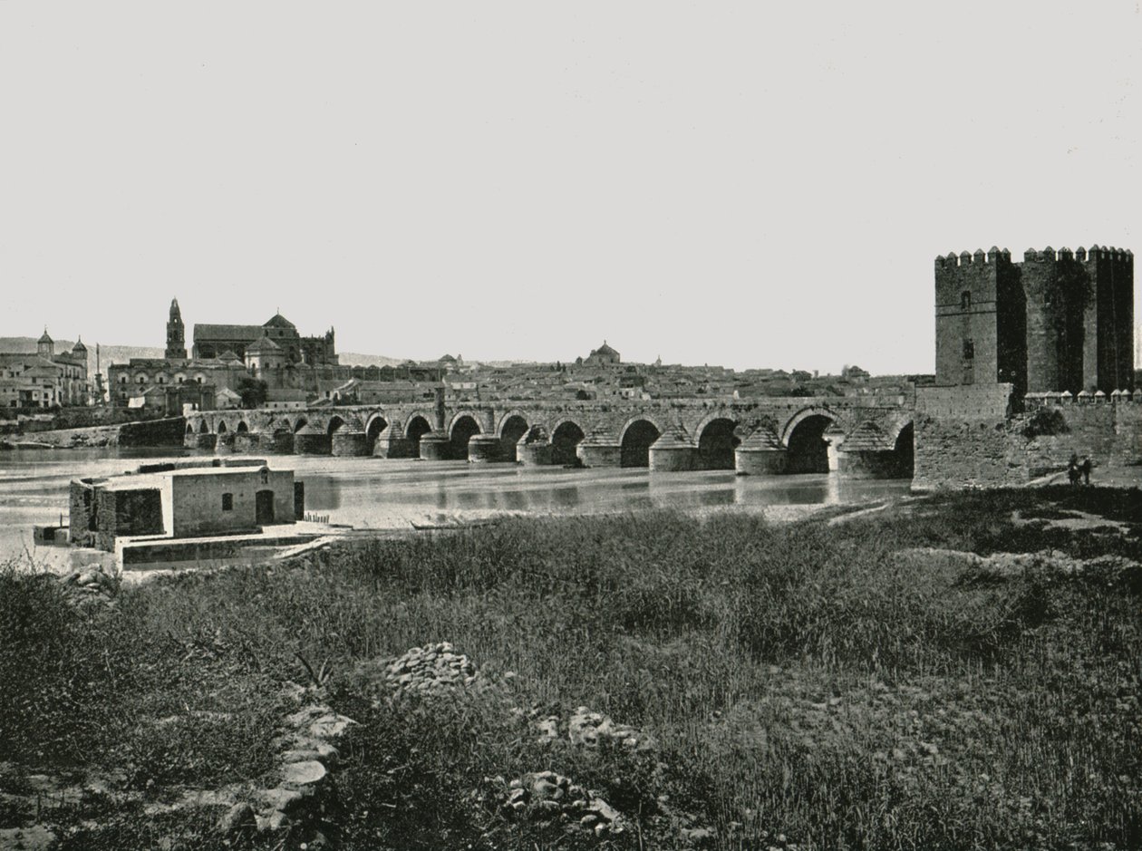 Il ponte romano, Cordoba, Spagna da W and S Ltd