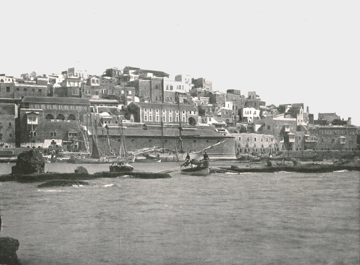 Vista dal mare, Giaffa, Palestina, 1895 da W and S Ltd