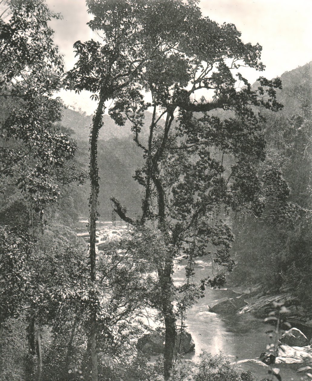 Veduta del fiume Kelani, Kurunegala, Ceylon da W and S Ltd