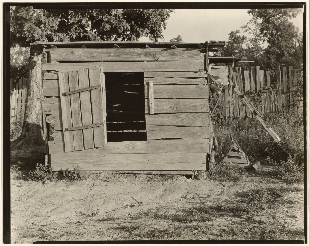Pollaio nella fattoria di Floyd Burroughs, Contea di Hale, Alabama da Walker Evans