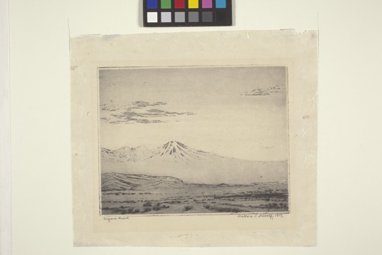 Deserto del Mojave da Wallace Leroy DeWolf