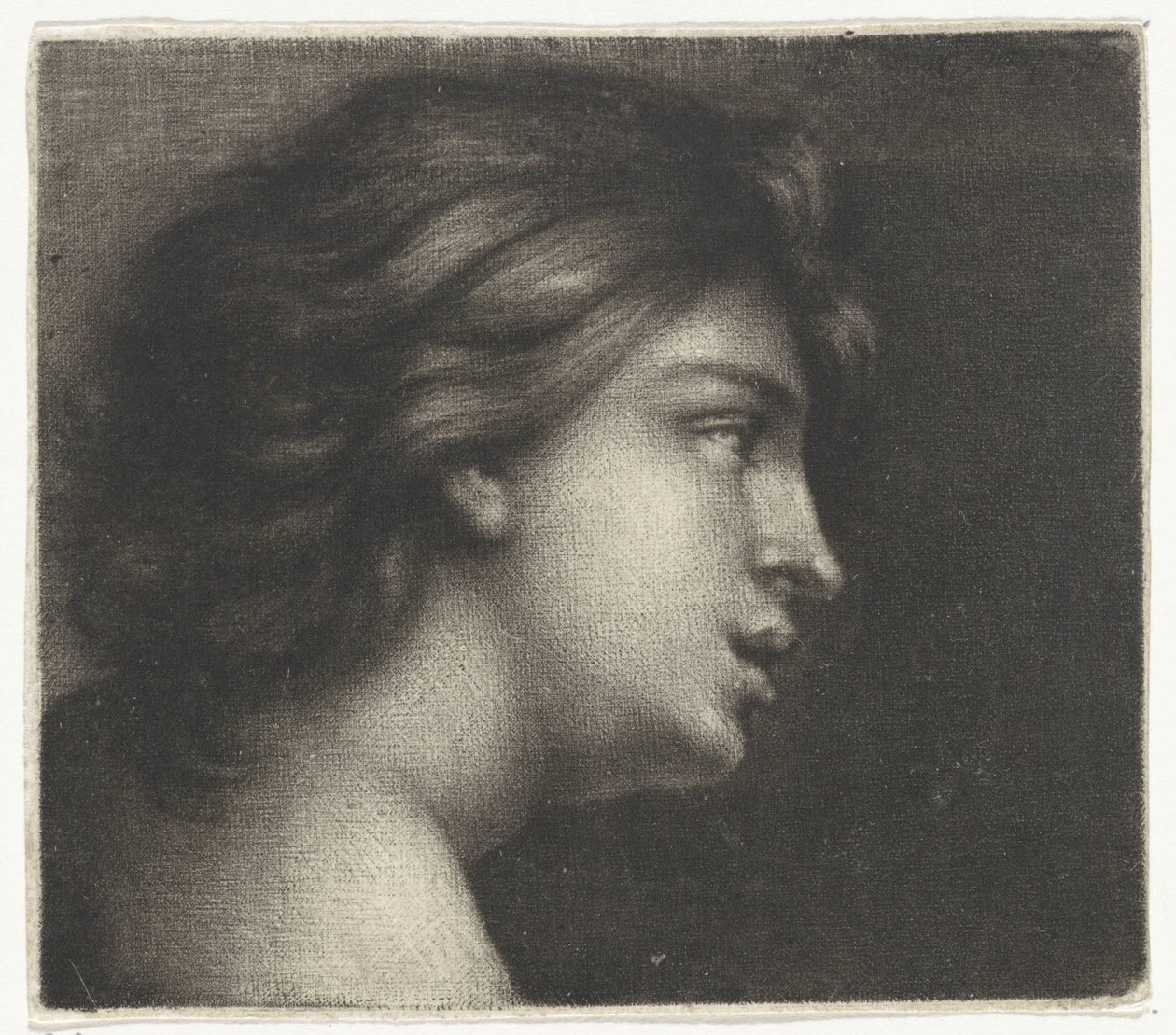 Testa di giovane donna da Wallerant Vaillant