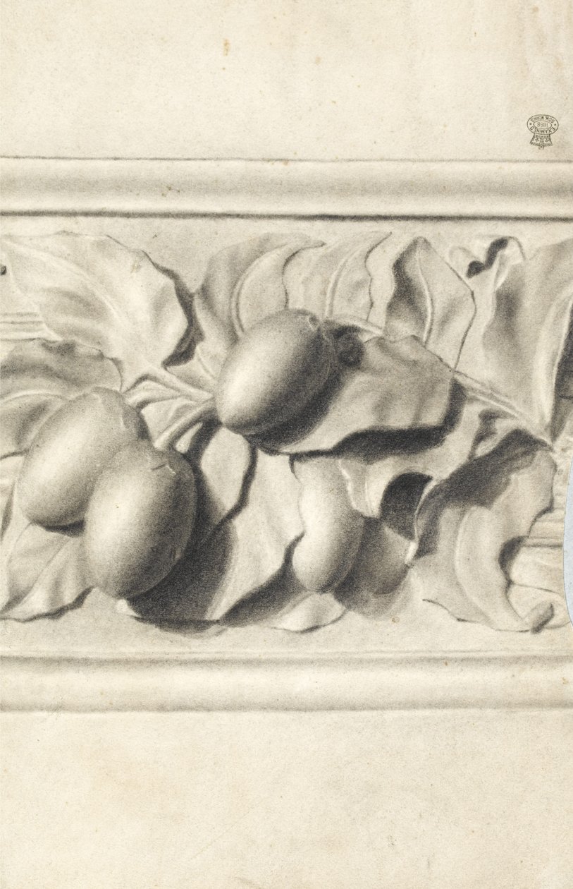 Disegno di frutta da calco in rilievo da Walter Bonner Gash