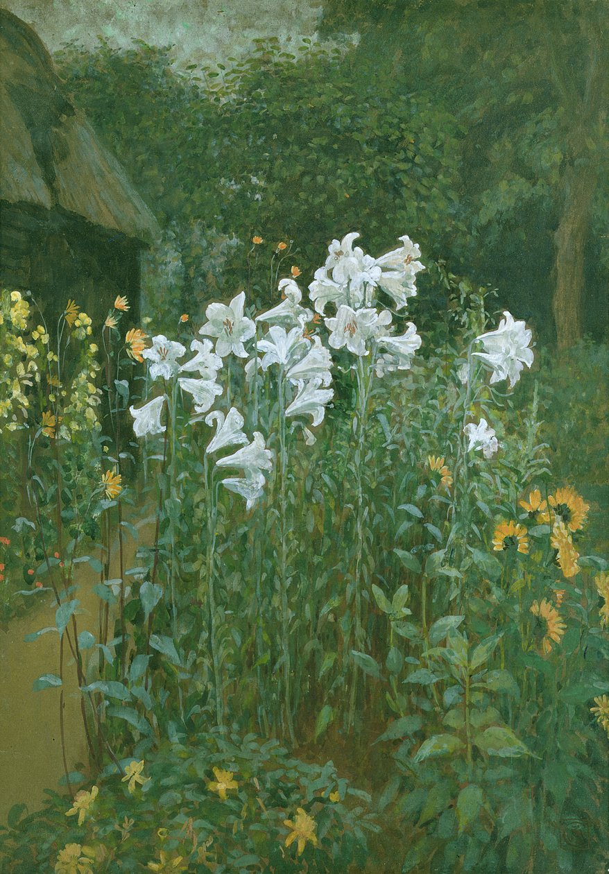 Gigli della Madonna in un giardino da Walter Crane