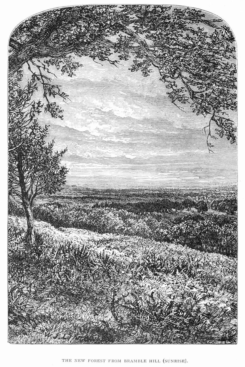 La Nuova Foresta, la sua storia e il suo paesaggio da Walter Crane