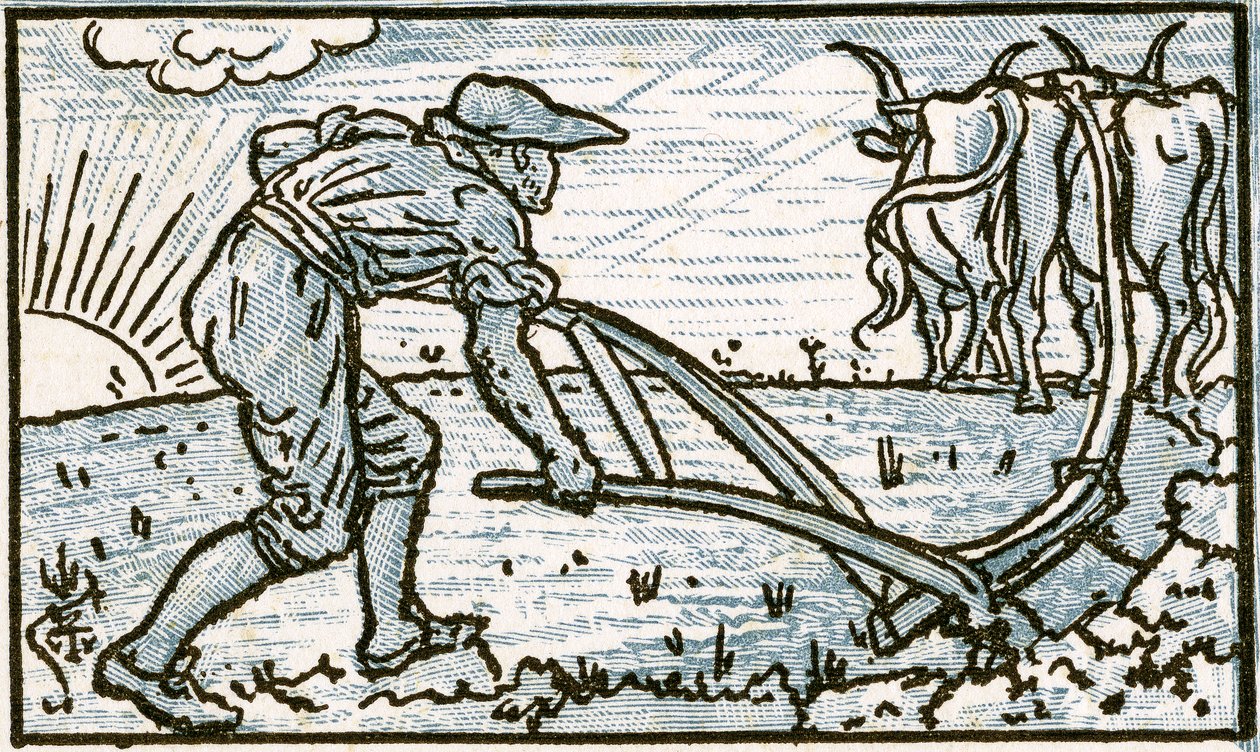 Il contadino, illustrazione della canzone 