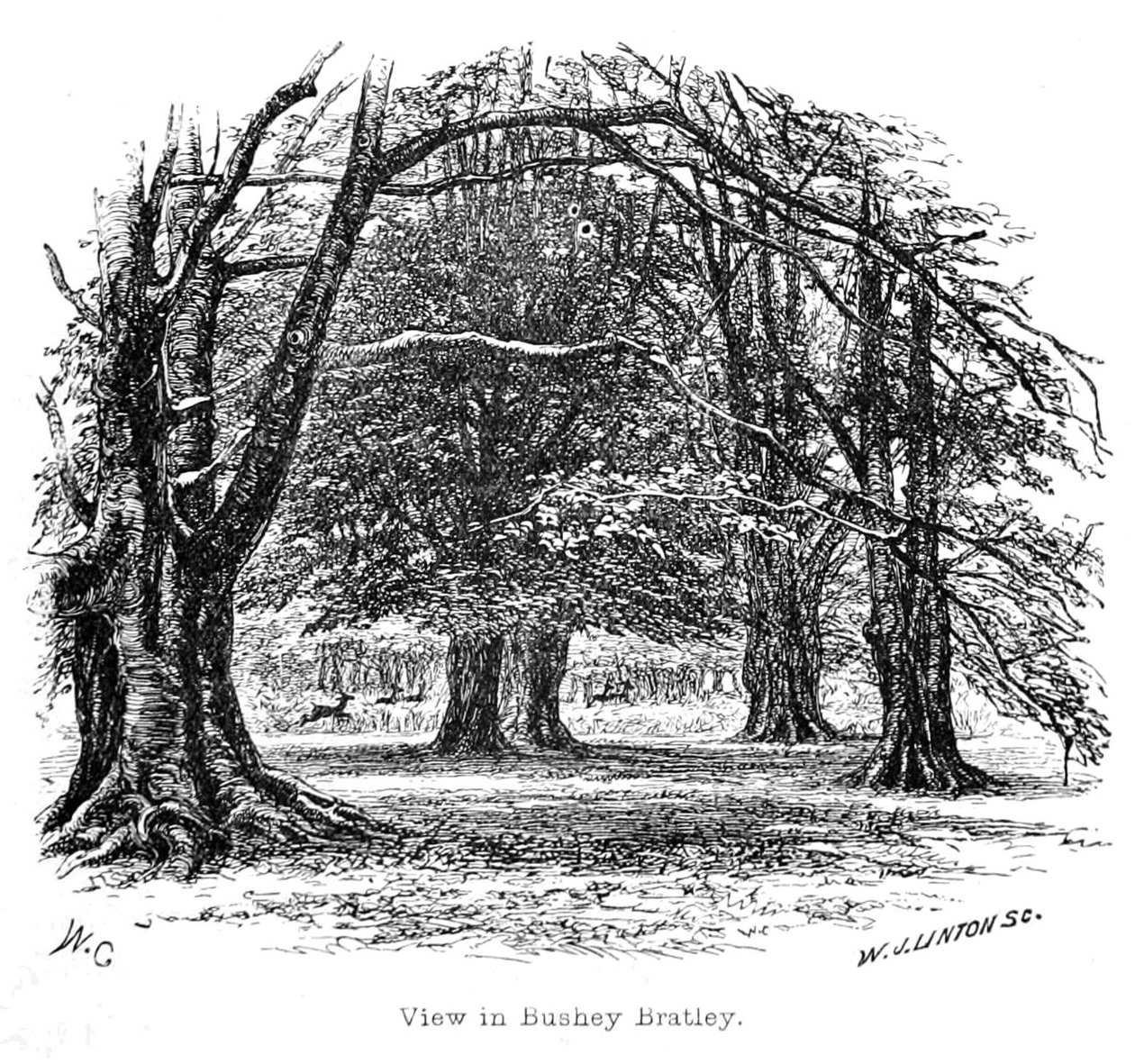 Veduta di Bushey Bratley da Walter Crane