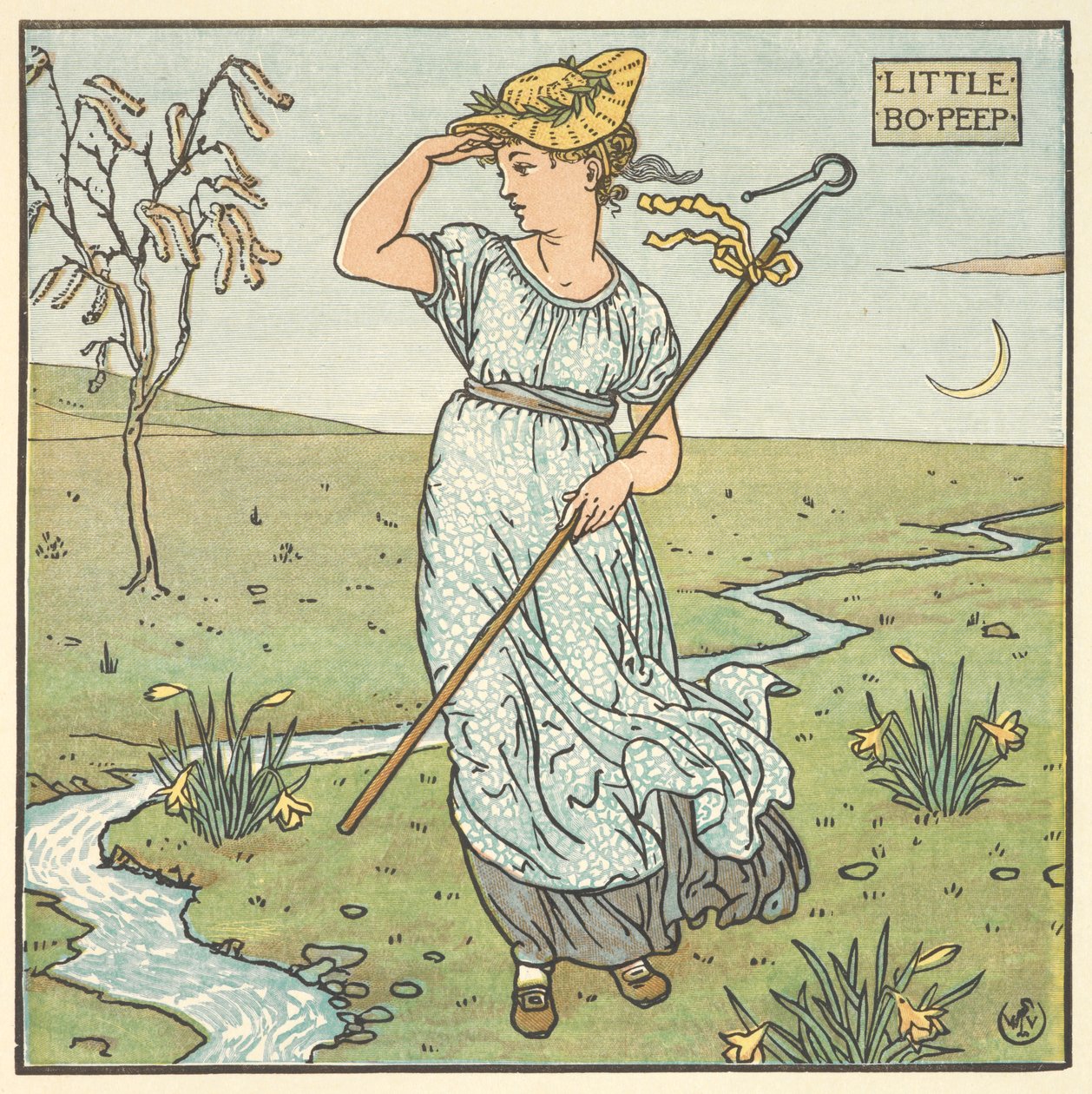 Illustrazione a colori per 