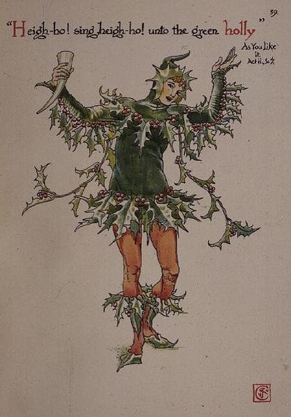 Agrifoglio, da 