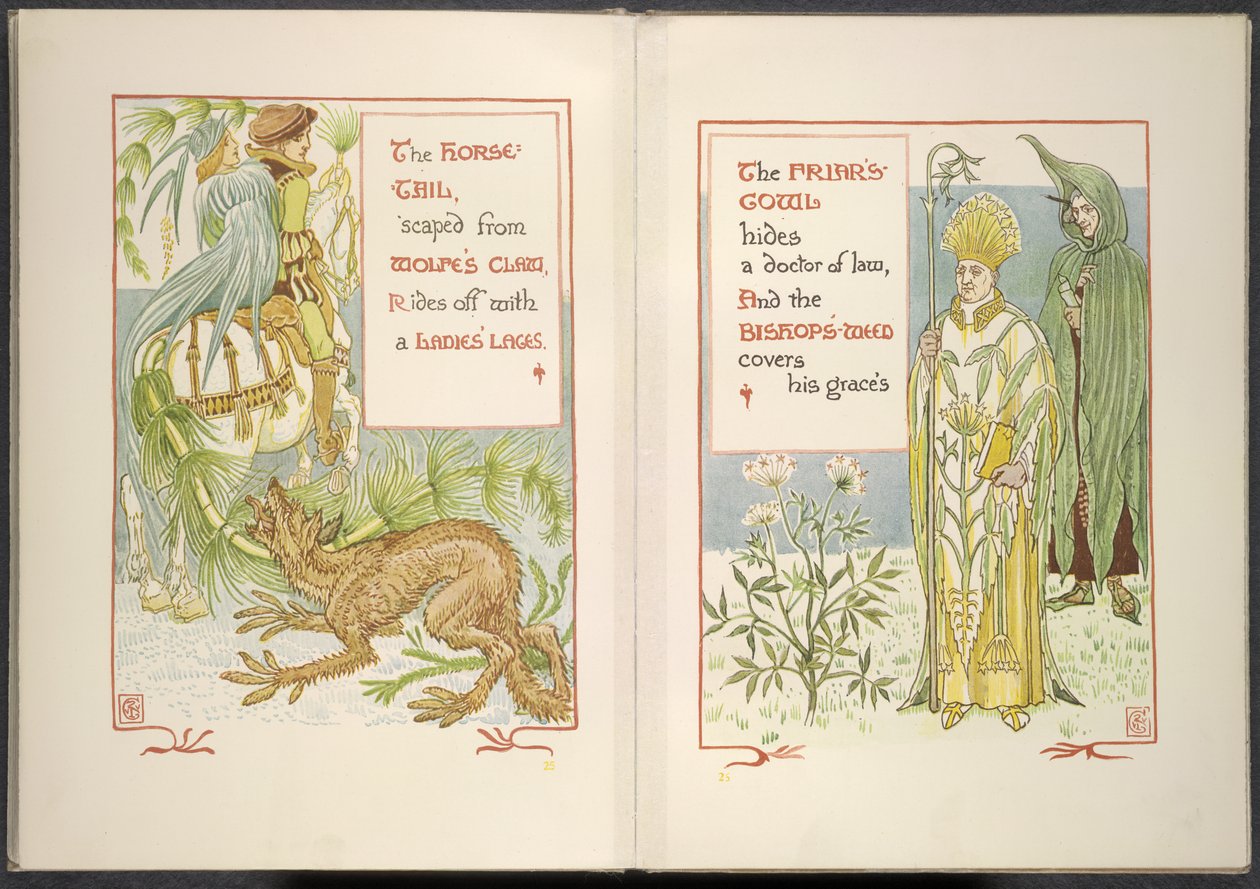 Coda di cavallo e cappuccio del frate da Walter Crane