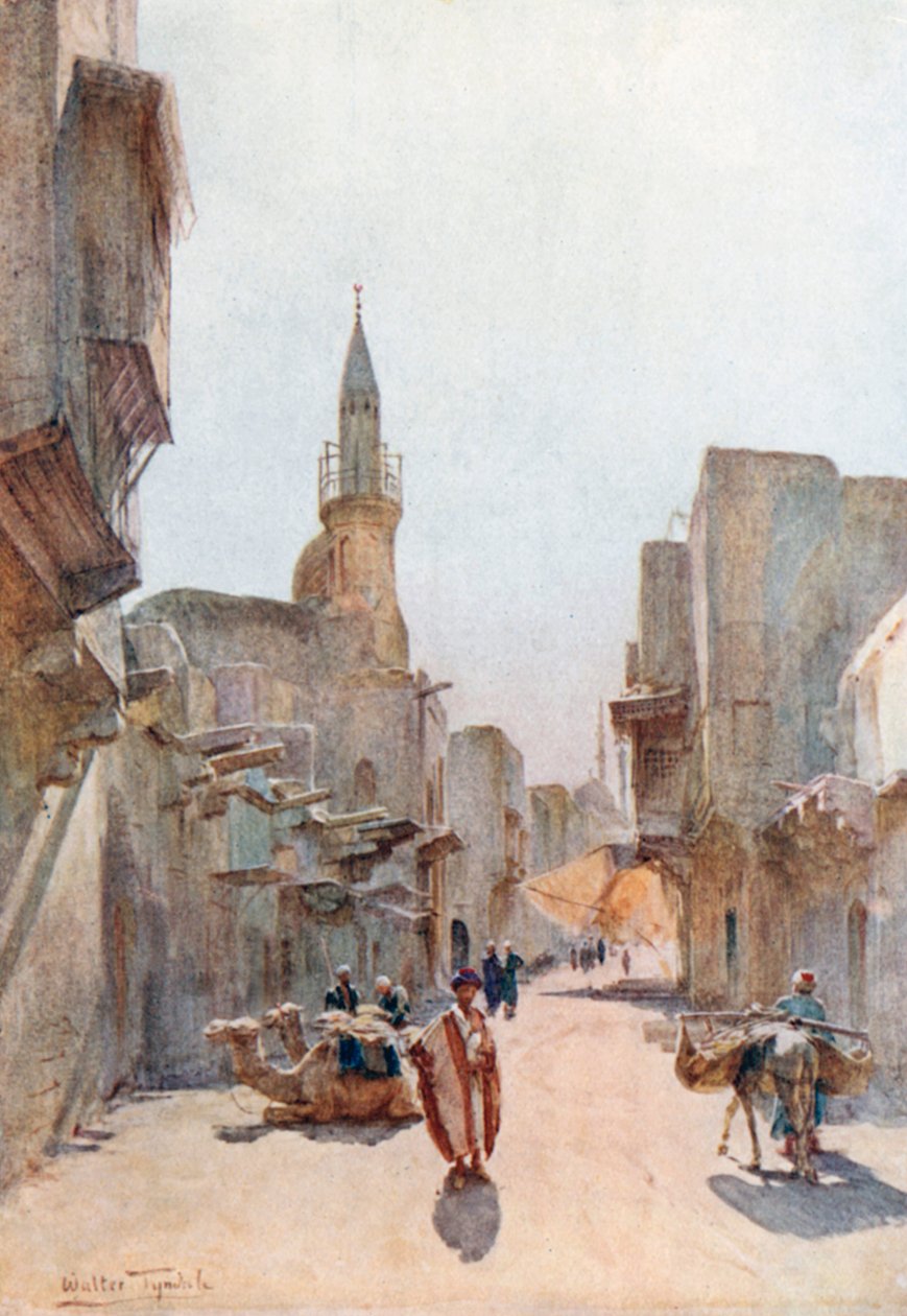 Una strada vicino alla Cittadella, Il Cairo (litografia a colori) da Walter Frederick Roofe Tyndale